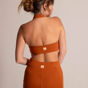 Alternative view of Top Moving Terracota